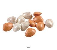 Petits coquillages assortis en lot de 12 en Plastique soufflé D 60 mm