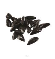 Moules artificielles assorties X 24 en Plastique souffl L 70-90 mm