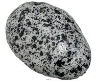 Petit galets artificiels assortis X 24 en Plastique soufflé D 30-50 mm