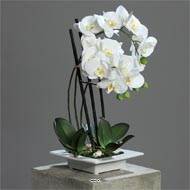 Orchidee factice 3 hampes en coupe ceramique H50cm touché réel Crème