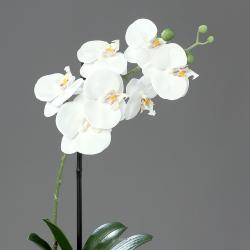 Orchidée factice 1 hampe coupe céramique H40cm touché réel Blanc neige