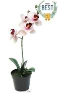 Orchidée Phalaenopsis factice en pot top qualité H35cm Rose-crème-BEST