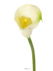 Arum calla Zantedeschia artificiel H 55 cm Crème vert