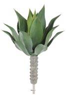 Agave, Alo vera, artificielle en piquet H 75 cm Vert