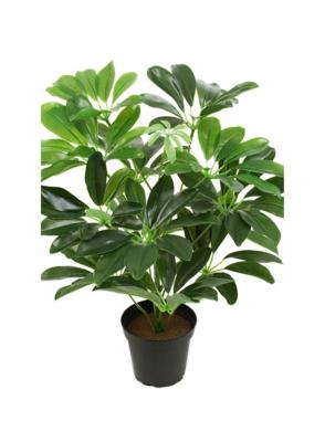 Schefflera factice en pot plante verte  H40cm D35cm Originale