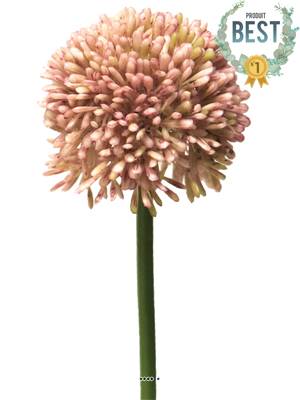 Allium artificiel en tige H 45 cm Rose - BEST