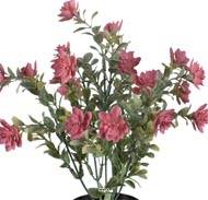 Succulente fleurie factice cactée Vieux Rose pot H30cmD25cm plastique 