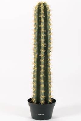 Cactus Cierge artificiel cactée succulente en pot H 98 cm Qualité Pro