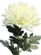 Chrysanthème artificiel, H 63 cm Crème - BEST