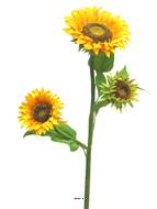 Tournesol artificiel en branche, 2 fleurs, un bouton, H 85 cm - BEST