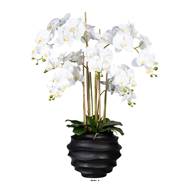 Orchidée factice 7hampes vase résine noir H105cmD75cm touché réelCrème