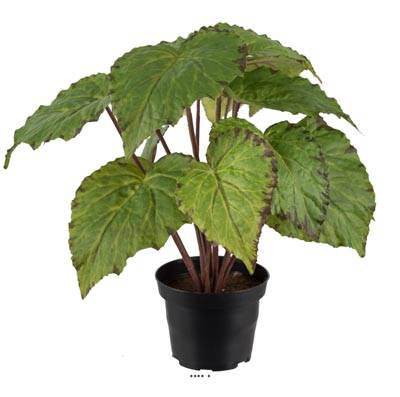 Bégonia royal artificiel en pot, H 30 cm D 25 cm Vert