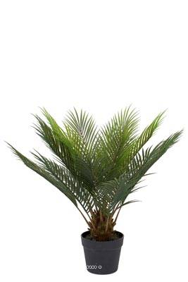 Palmier Cycas artificiel en pot, H 60 cm, D 60 cm