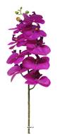 Tige orchidée phalaenopsis faux 9fleurons Real touch H77cmPourpre-BEST