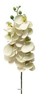 Tige orchidée phalaenopsis faux 9fleurons touché réel H77cm Crème-BEST
