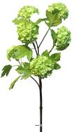 Branche de Viorne artificielle, 6 têtes, H 60 cm Vert - BEST