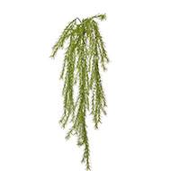 Chute d'asparagus artificiel L 80cm vert clair