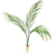 Piquet de 3 feuilles de Palmier Phoenix artificielles H 60 cm D 60 cm