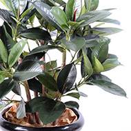 Ficus elastica artificiel ou plante de caoutchouc en tissu H 90 cm en pot