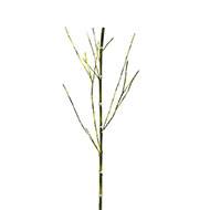 Fausse canne de bambou H 105 cm