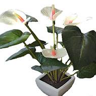 Superbe anthurium artificiel en pot H 41 cm  Vert-rose
