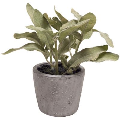 Herbe aromatique artificielle Sauge H 17 cm, D 16cm