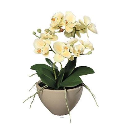 Fausse orchidée en pot céramique H 35 cm adorable Crème vert