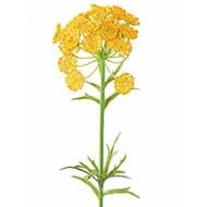 Daucus fleur artificielle en tige H 55 cm en plastique Jaune