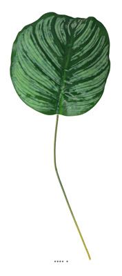 Feuille de Maranta artificielle en tissu H 40,5 cm