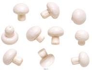 Champignons de Paris Blanc Rosé factices – lot de 10 – H 4,65 cm L 3,4 cm