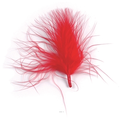 Plumes Folles Rouge x 20