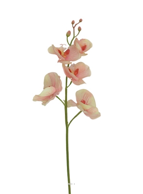 Orchidee Phalaenopsis Ines pêche 77cm haut de gamme latex