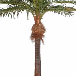 Palmier Coco artificiel H 400 cm D 280 cm 18 palmes sur platine