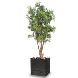 Aralia Arbre Artificiel H 165 cm D 80 cm Feuillage Anti-UV en pot