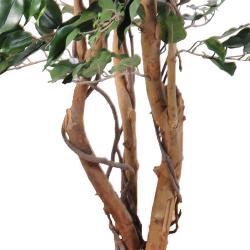Ficus Exotique Artificiel multitroncs naturels en pot H 210 cm Vert
