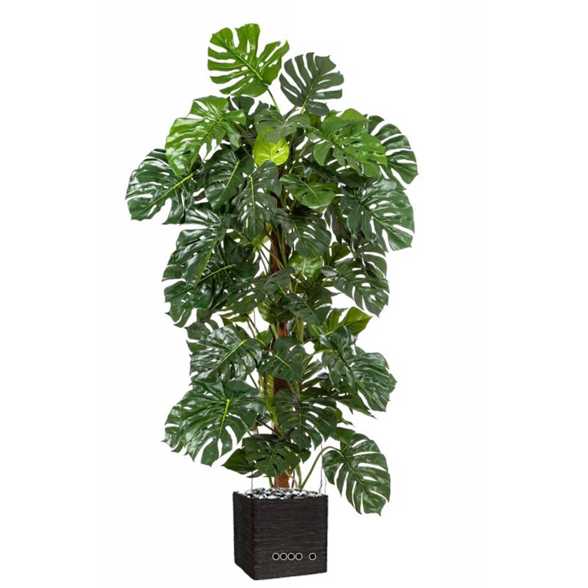 Plante artificielle monstera h. 180 cm feuilles de tortue réalistes pot  inclus Couleur vert Homcom