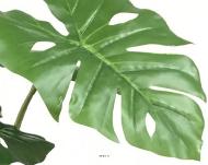 Philodendron artficiel 10 grandes feuilles en pot H 160 cm