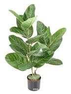 Ficus Elastica Artificiel tronc bois en pot factice H 62 cm D 55 cm