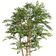 Acacia artificiel eco 4 troncs Naturels en pot H 200 cm Vert