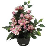 Vasque de Magnolia, bouton de rose, ficus pour la toussaint Rose-crème