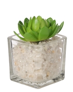 Echeveria artificielle succulente en pot verre et cailloux blanc