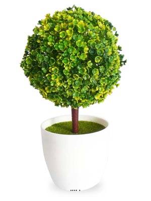 Mini plante topiaire Vert jaune déco H25cm en pot plastique blanc