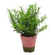 Herbe aromatique artificielle Romarin superbe de réalisme