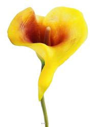 Arum calla fleur artificielle Jaune aubergine H 42 cm Superbe