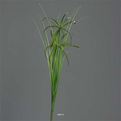 Branche de Papyrus artificiel H 67 cm 2 têtes