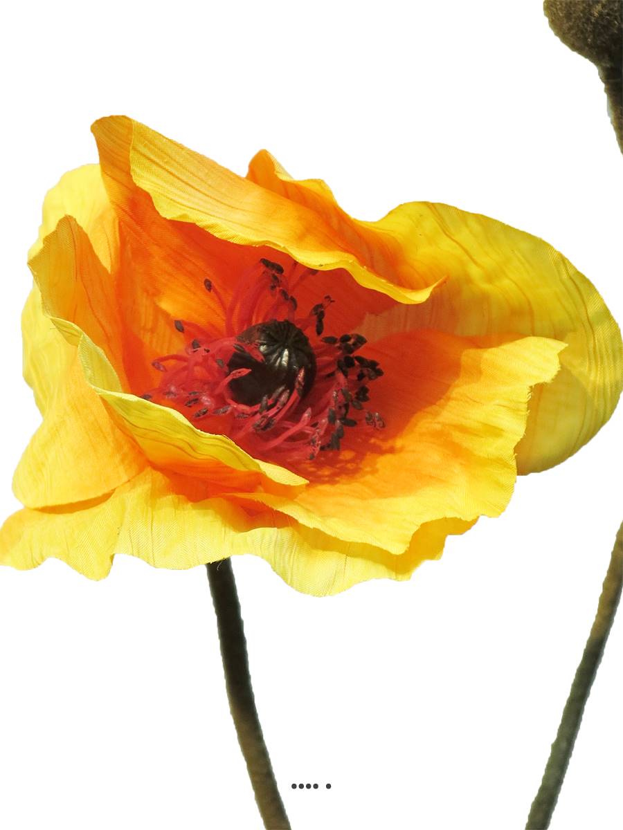 Capsules De Pavot Artificielles ASUMAN, Marron