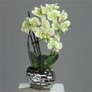 Orchidée factice 3 hampes en pot céramique Argent H55cm Crème vert