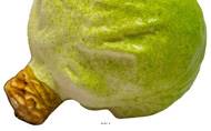 Choux vert artificiel en lot de 2 en Plastique soufflé H 130x120 mm