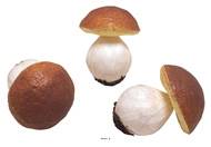 Bolets artificiels en lot de 3 en Plastique soufflé H 80x65 mm