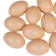 Œuf de poule brun artificiel X 12 en Plastique soufflé H 65x45 mm